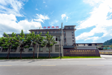 Thông tin tóm lược về Yunnan Tengyao Pharmaceutical Co., Ltd